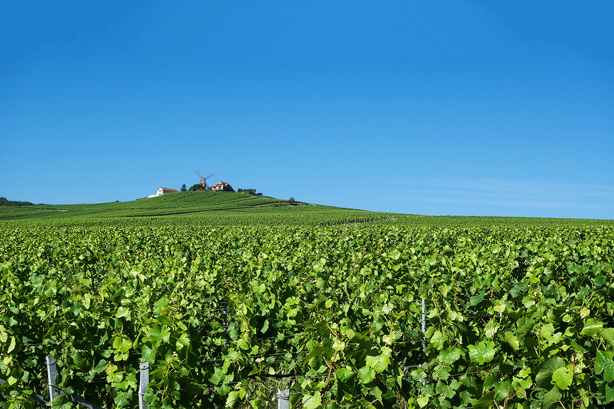 3 Days in Champagne Region Itinerary